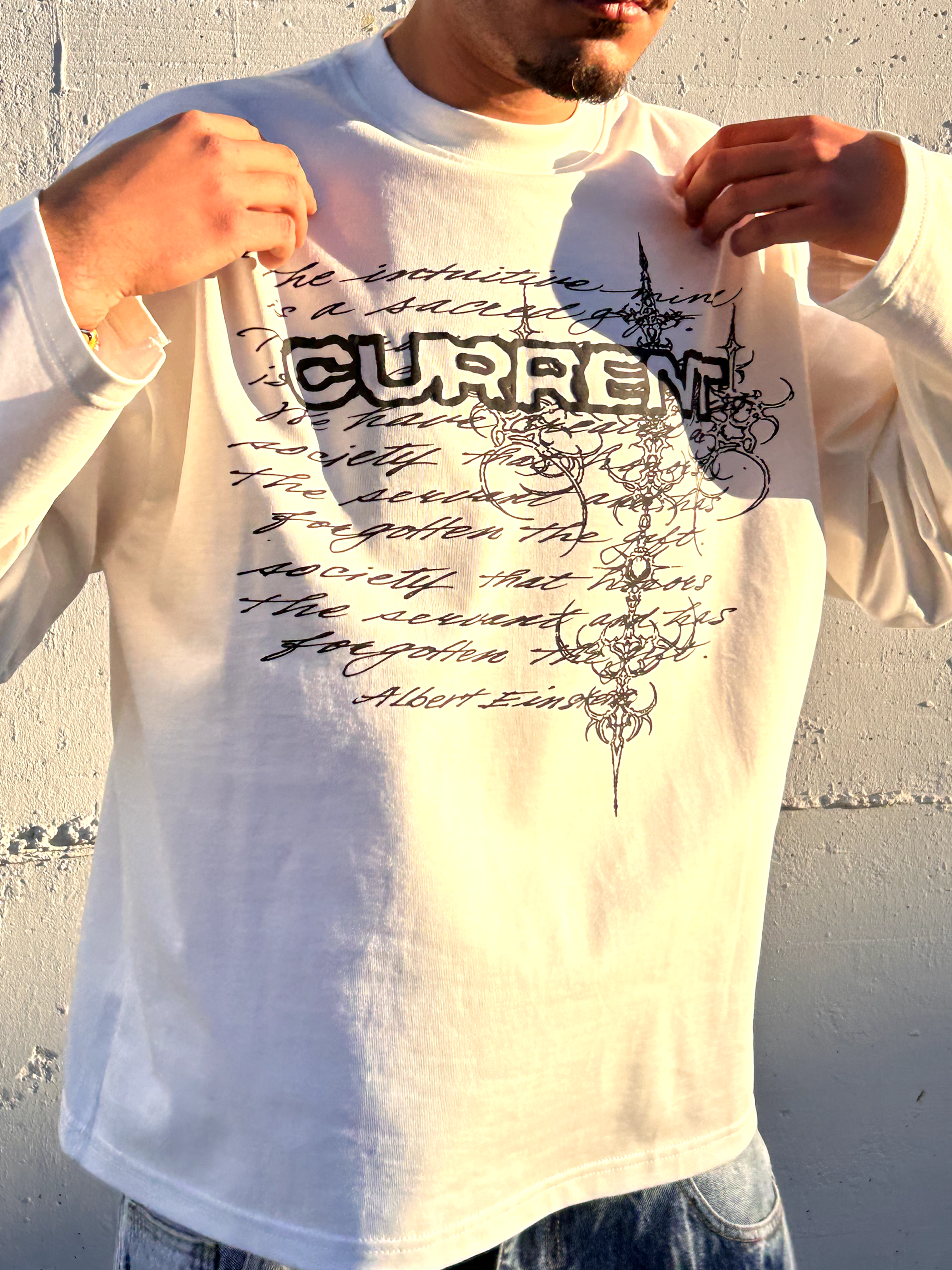 Longsleeve "Einstein" light